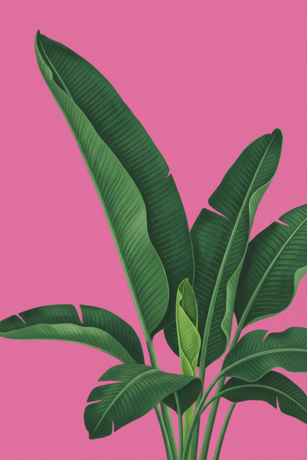 Vibrant Tropical Leaves Art Print – wall art print by LOUDHAUS
